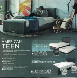 AMERICAN TEEN spring